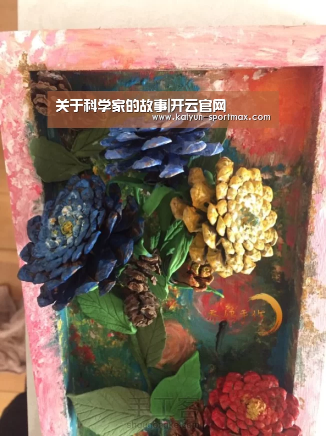 开云体育直播