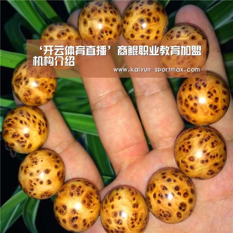 ‘开云体育直播’商鲲职业教育加盟机构介绍(图4) 开云足球竞猜
