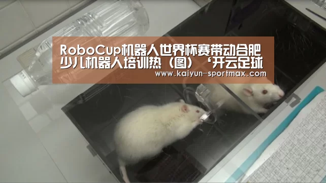 RoboCup机器人世界杯赛带动合肥少儿机器人培训热(图)‘开云足球竞猜’(图3) 开云体育直播