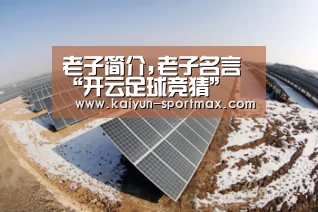 老子简介,老子名言“开云足球竞猜”(图2) 开云电竞赛事