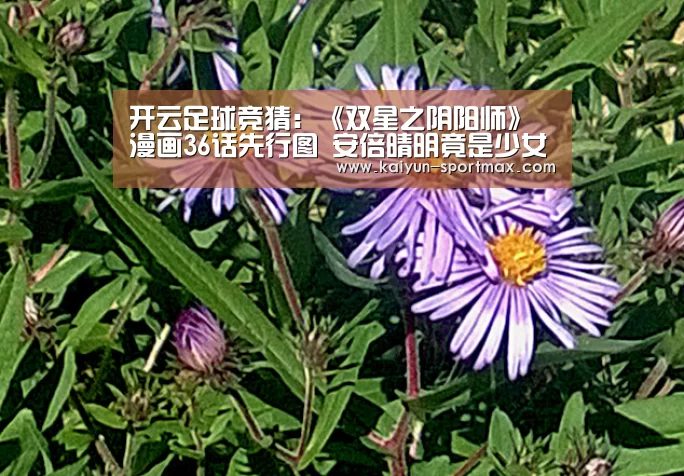 开云足球竞猜:《双星之阴阳师》漫画36话先行图 安倍晴明竟是少女(图1) 开云电竞赛事