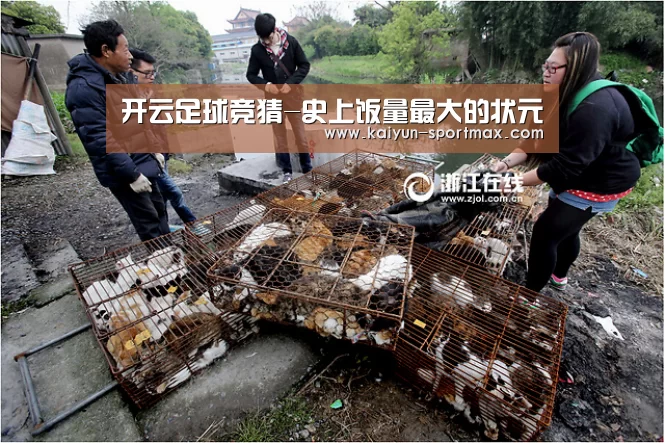 开云电竞赛事